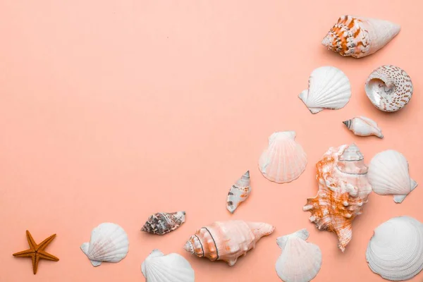 Summer time concept with sea shells and starfish on trendy orange pastel color background, copy space. Flat lay, top view — 스톡 사진