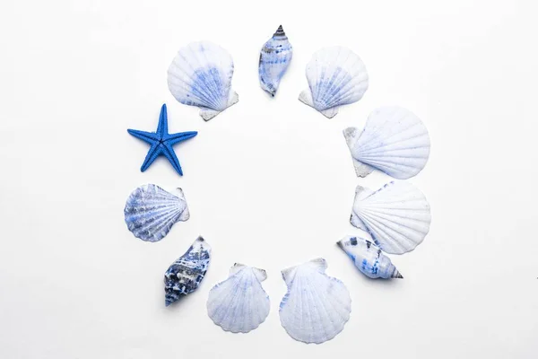 Concept d'heure d'été avec des coquillages de mer de couleur pastel bleu clair aquamarine tendance et étoiles de mer sur fond blanc, espace de copie. Couché plat, vue du dessus — Photo