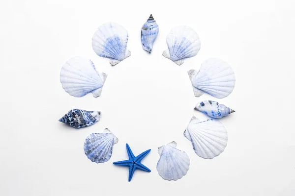 Affiche de vacances d'été avec coquillages de mer bleu clair aquamarine et étoiles de mer sur fond blanc, espace de copie. Concept de voyage ou de vacances avec vue de dessus. Pose plate — Photo