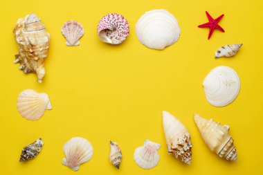 Summer sale. White seashells, red starfish in shape frame isolated on yellow background. Hello Summer is coming concept