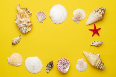 Summer sale. White seashells, red starfish in shape frame isolated on yellow background. Hello Summer is coming concept