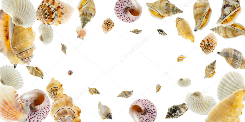 Summer sale. Living Coral color seashells, red starfish in shape frame isolated on white background. Hello Summer is coming concept