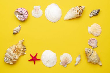 Summer holiday poster with sea shells and starfish on yellow background, copy space. Top view travel or vacation concept. Flat lay