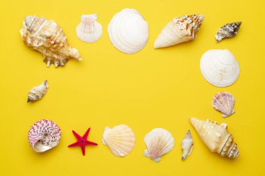 Deniz kabukları, deniz yıldızı şeklinde. Sarı Merhaba yaz geçmişi konsepti. Kopyalama alanı olan üst görünüm