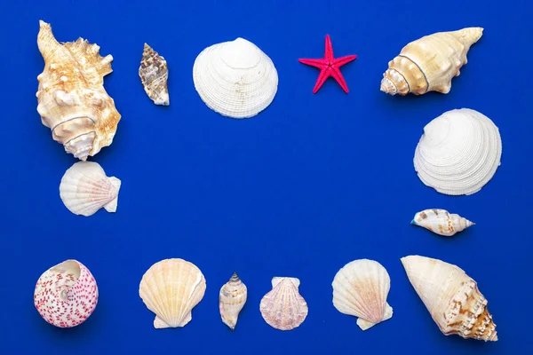 Hello Summer text on blue background with Shells, red starfish. Hello summer travel vacation concept flat lay poster backdrop concept.