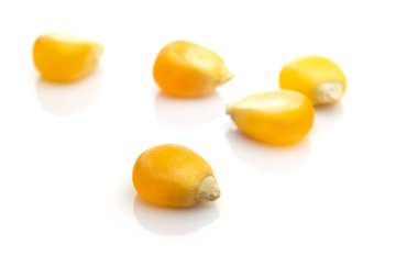 Beyaz arka planda izole edilmiş patlamış mısır için makro çekirdek mısır. Çekirdek sarı tohumlar. Doğal mısır gevreği ya da tarım ürünü konsepti.