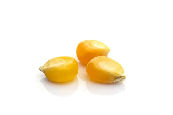 Elszigetelt kukorica. Sárga kukoricamag Édes magvak fehér mezőgazdaságban popcorn háttér. Növényi anyagként vagy keményítőforrásként történő főzéshez. — Stock Fotó