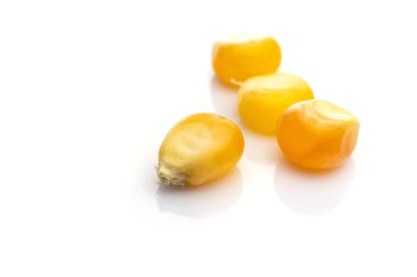 Çiğ mısır tohumları ya da mısır taneleri beyaza izole edilmiş. Sarı tahıllı patlamış mısır, tarım geçmişi. Ayrıntılı makro fotoğraf.