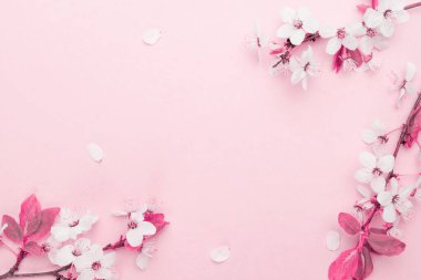 Nisan çiçekleri. Bahar çiçekleri ve pembe çiçekler. Sancak olarak, arka planda çiçek açan kiraz dalları. Rüya gibi romantik bir görüntü, manzara manzarası, kopyalama alanı.