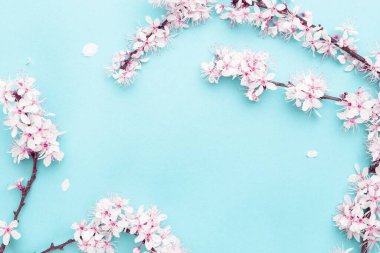 Kiraz ağacı çiçeği. Nisan çiçekleri ve bahar çiçekleri yumuşak mavi arka planda çiçek açarlar. 8 Mart bayrağı, mesaj için yeri olan mutlu Paskalyalar. İlkbahar konsepti. Üst Manzara. Düz yatıyordu.