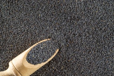 Haşhaş tohumları. Koyu renkli haşhaş tohumu yiyeceği ahşap kepçe ya da siyah taş arka planda izole edilmiş kaşık. Vitaminli kahvaltı, diyet ve sağlıklı beslenme konsepti..