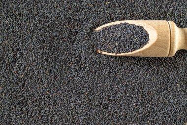 Haşhaş tohumları, tahtadan bir kepçeyle karanlık taş arka planda izole edilmiş. Siyaha kaşık içinde haşhaş tohumu. Sağlıklı kahvaltı ya da sabah atıştırmalığı diyet yeme kavramı.