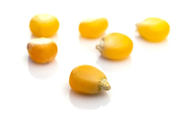 Makrokornmais für Popcorn isoliert auf weißem Hintergrund. Körnerkörnchen gelbe Samen. Natürliche Getreideernährung oder landwirtschaftliches Produktkonzept. — Stockfoto
