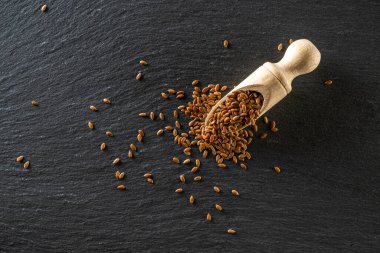 Keten tohumu ve kahverengi keten tohumu. Koyu taşın üzerinde organik yağ için ahşap kepçe. Keten tohumu, keten tohumu siyah arka planda izole edilmiş. Çiğ vejetaryen yiyecek konsepti