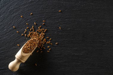 Keten tohumu koyu taşta izole edilmiş. Kahverengi keten tohumu, ahşap kepçe içinde keten tohumu besin keten arka planında organik yağ için. Düşük kolesterol ve kalp hastalıklarını önlemek için sağlıklı besin