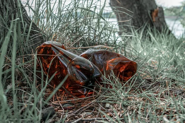 Ecologische achtergrond. Plastic afval in bos, bos. Vuilnis in het milieu. Lege gebruikte vieze flessen. Ecologisch probleem. — Stockfoto