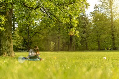 Dışarıda dizüstü bilgisayarla çalış. Bilgisayarlı öğrenci, yazlık doğa parkında tablet. Kız dışarıda internet teknolojisiyle iş yapıyor. Elektronik aletler uzaklık öğrenme konsepti.