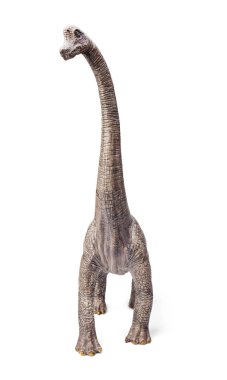 Brachiosaurus dinozorlar oyuncak izole kırpma yolu ile beyaz arka plan üzerinde. 