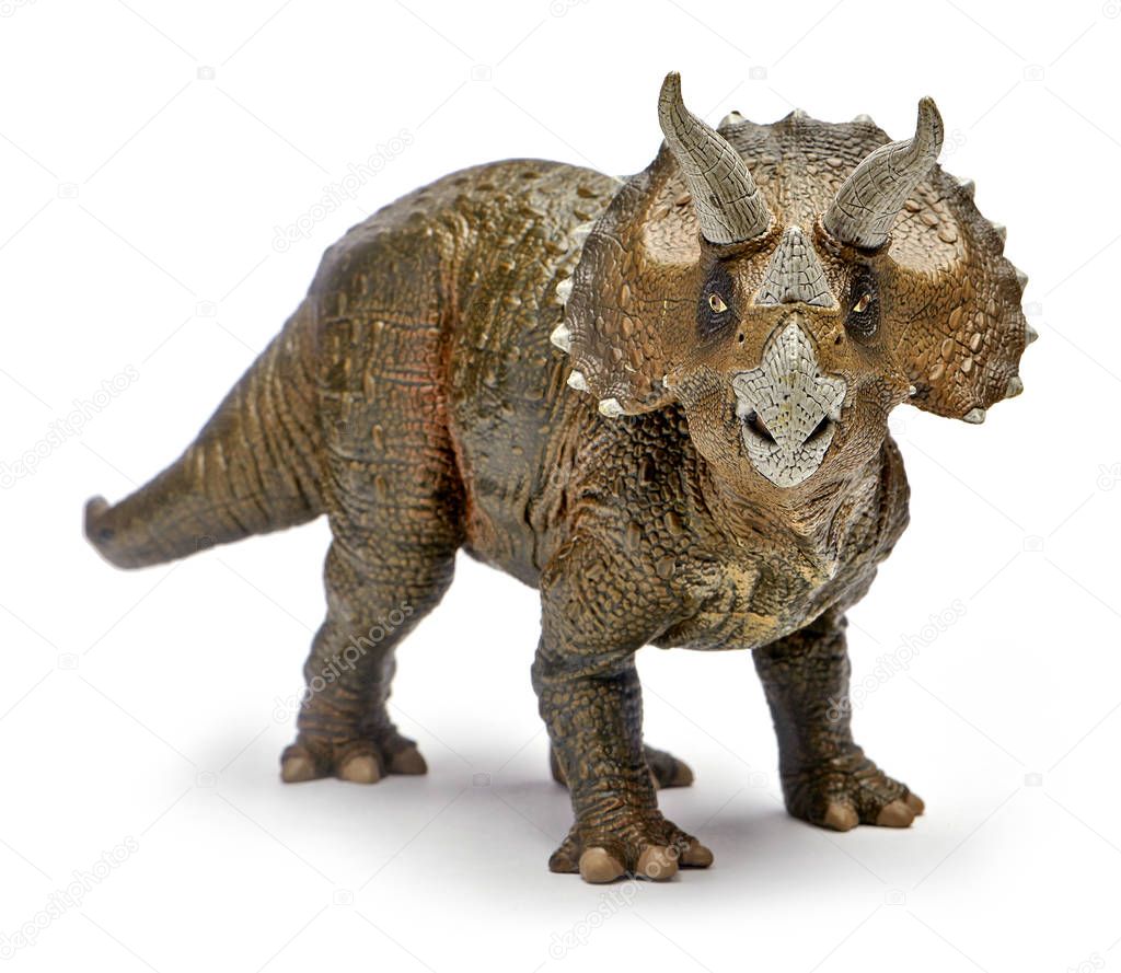Triceratops, toy with clipping path.