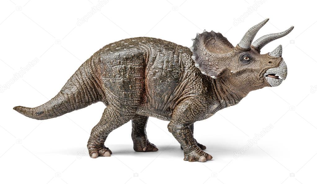 Triceratops dinosaurs toy.