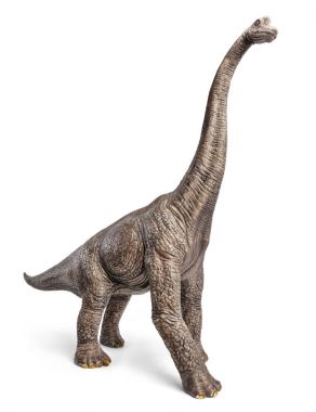 Brachiosaurus dinozorlar oyuncak izole kırpma yolu ile beyaz arka plan üzerinde.
