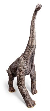 Brachiosaurus dinozorlar oyuncak izole kırpma yolu ile beyaz arka plan üzerinde.