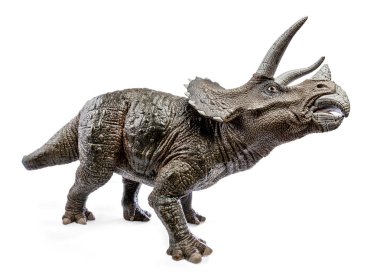 Triceratops dinozorlar oyuncak izole kırpma yolu ile beyaz arka plan üzerinde geniş görüş.