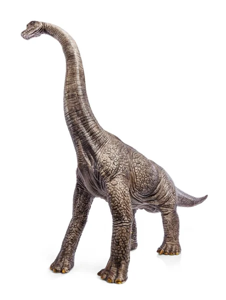 Brachiosaurus Dinosaurier Spielzeug isoliert auf weißem Hintergrund mit Clipping-Pfad. — Stockfoto