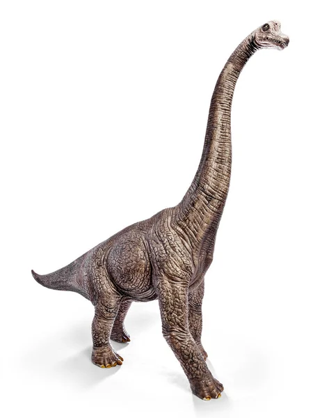 Brachiosaurus dinozorlar oyuncak izole kırpma yolu ile beyaz arka plan üzerinde.