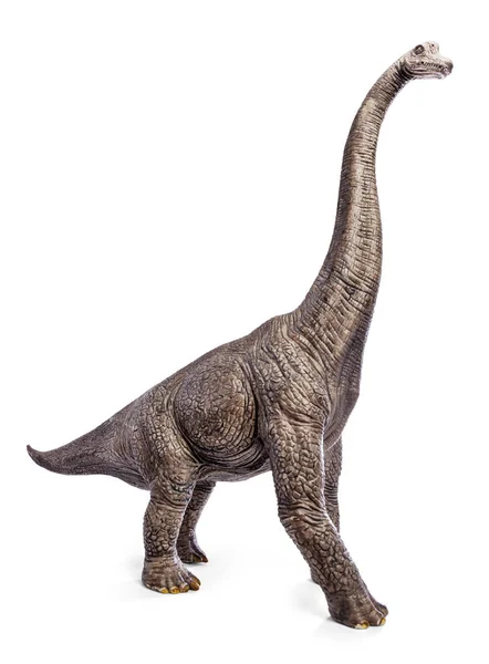 Brachiosaurus dinozorlar oyuncak izole kırpma yolu ile beyaz arka plan üzerinde.