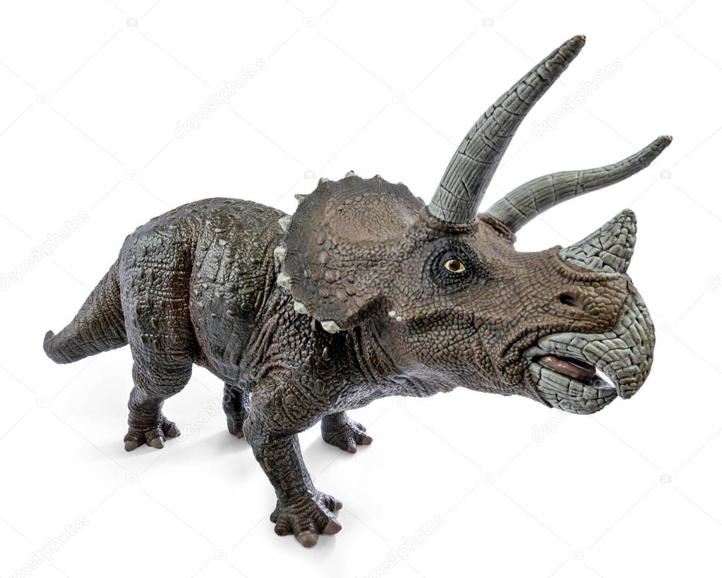 Wide view of Triceratops dinosaurs toy isolated on white background with clipping path.