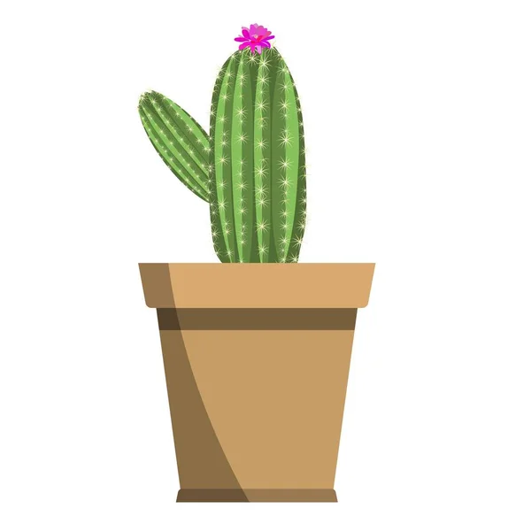 Potted vacker ljus rosa blommande kaktus isolerad på vit — Stock vektor