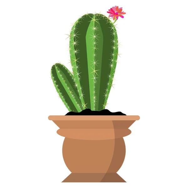 Vector potted cool bright scarlet flowering cactus in cute brown flower pot isolated on white — Stock Vector