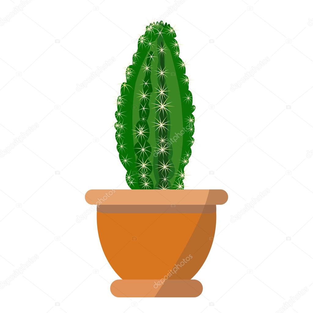 Potted nice cactus vector isolated on white background
