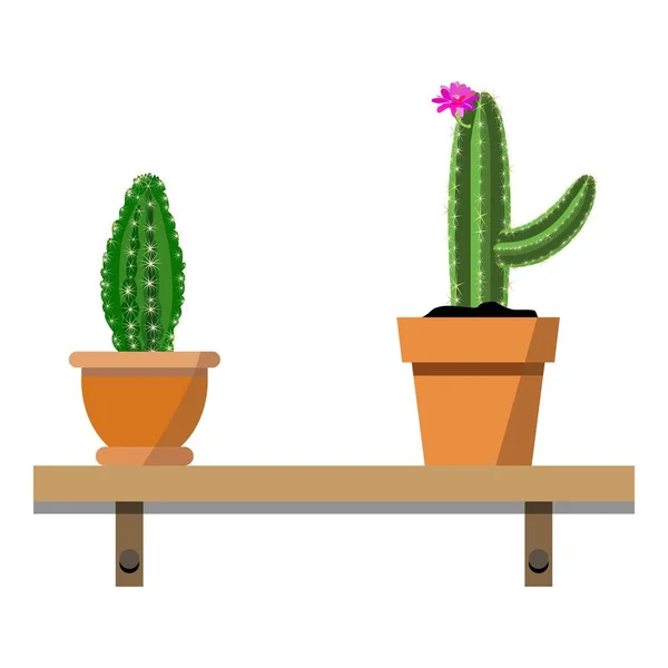 2 krukväxter i fina färgglada blomkrukor mot vit vägg. Hus växter på trähylla isolerad på vit — Stock vektor