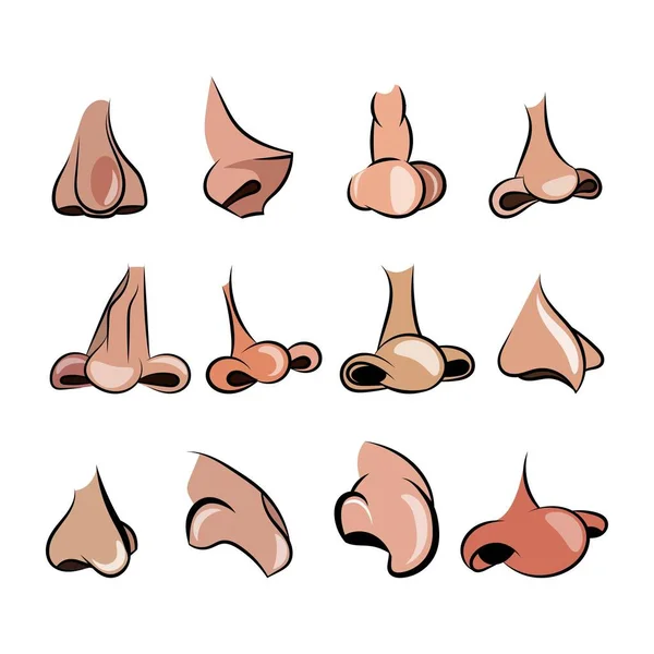Vector illustration of 12 noses cartoon set for character animation — 스톡 벡터
