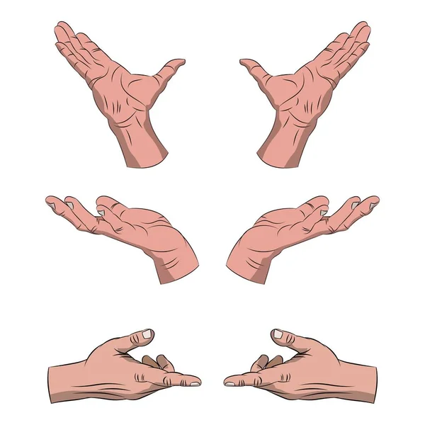 Gösterilen eller vektör seti. El avuçlarının toplanması başparmaklar yukarı ve işaretler