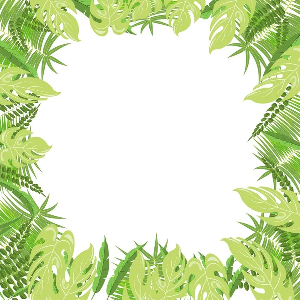 Cartel Vector Hojas Tropicales Moda Verano Tropical Naturaleza Palma Hojas — Vector de stock