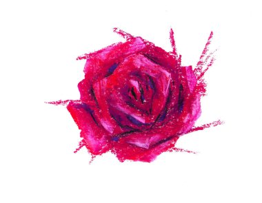 Rose for printing on fabric, background or pattern 