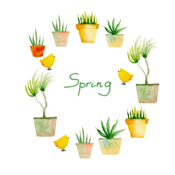 Ботаническая Коллекция Изолированной Нарисованной Вручную Акварелью Фразой Весна Дизайн Instagram — стоковое фото