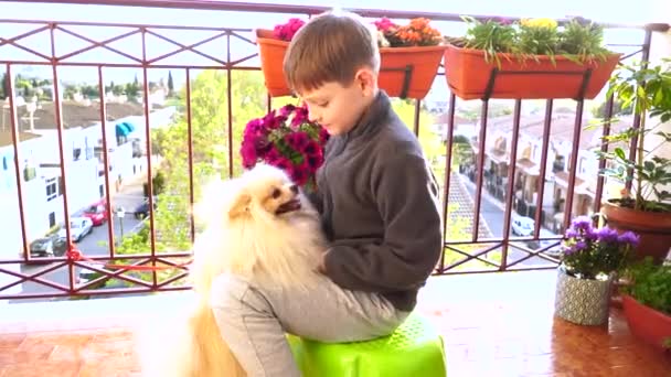 Debido Coronavirus Covid Niño Tiene Que Jugar Con Mascota Balcón — Vídeo de stock