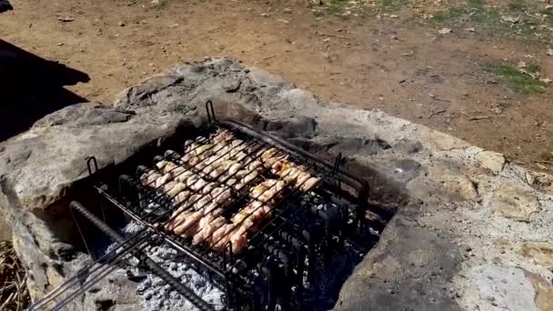 Barbecues are grilled on the grill — Stock Video