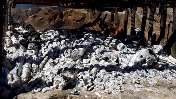 Барбекю готовят на гриле — стоковое видео