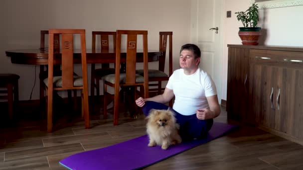 Hombre Gordo Perro Pomerania Haciendo Gimnasia Casa Estera Hombre Posición — Vídeo de stock