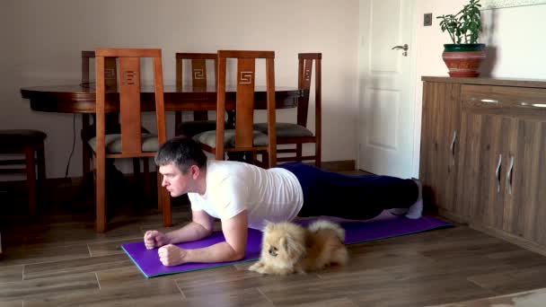 Hombre Gordo Perro Pomerania Haciendo Gimnasia Para Perder Peso Casa — Vídeo de stock