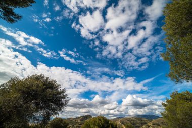 Yeşil çimen ve ağaçlarla dolu mavi gökyüzü. Ufuktaki şehir