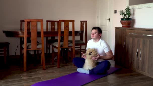 Толстяк Померанская Собака Занимаются Гимнастикой Дома Коврике Человек Позе Лотоса — стоковое видео
