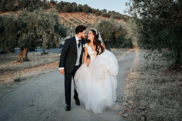 Los Recién Casados Con Estilo Caminan Por Campo Tomados Mano —  Fotos de Stock