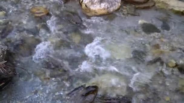 Água Clara Fundo Rio Montanha Pedras Podem Ser Vistas Através — Vídeo de Stock