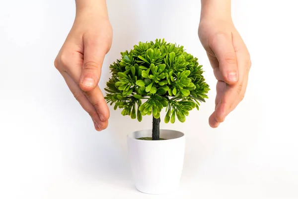 Kleine Plant Handen Van Het Kind Red Planeet Ecologisch Concept — Stockfoto